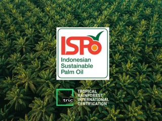 24 Sertifikasi ISPO di Riau: Dari Asosiasi Amanah sampai KUD Kebun Sawit Harapan