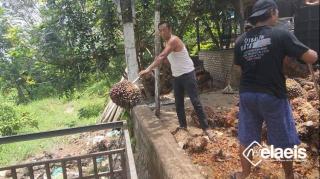 Jadi Sopir Teladan Paling Banyak Trip