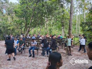 Merawat Hamparan Hutan di Tengah Kebun Sawit