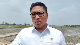 Ini Kata Wamentan Soal Target PSR yang Kerap Meleset